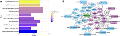 Small RNA sequencing identified miR-3180 as a potential prognostic biomarker for Chinese hepatocellular carcinoma patients